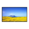 Security LED Monitor | 32