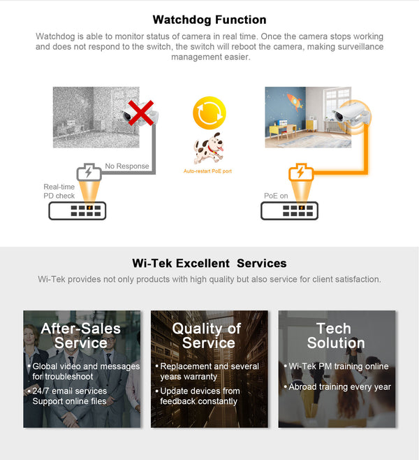 250W Network Switch Watchdog